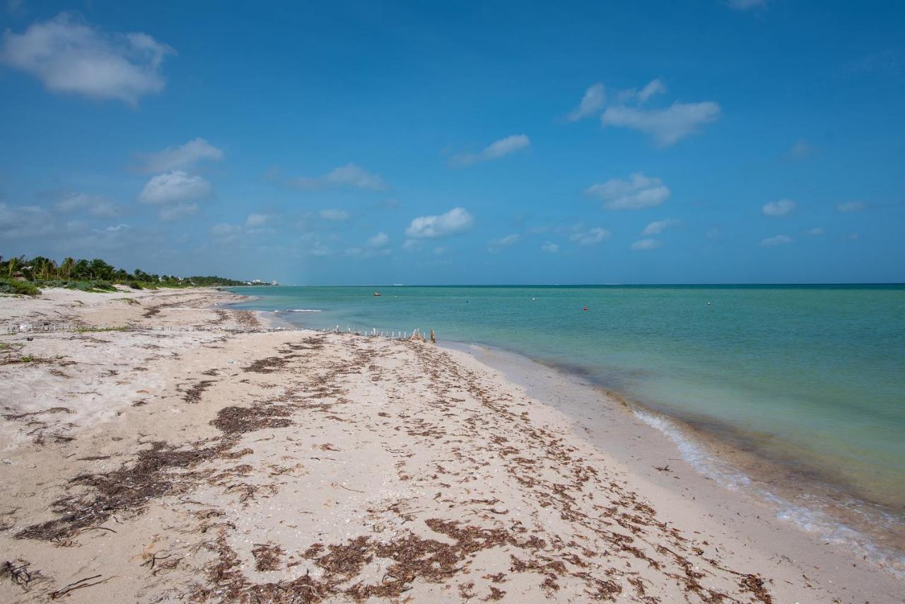 97982 New Modern Villa, Private Pool, High Internet Speed, 2 Blocks From The Beach Pueblo Pueblo Chicxulub Extérieur photo